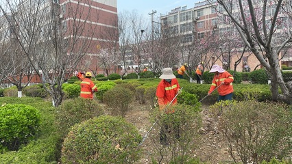 【美德信用口镇】口镇街道:花开满径春正好 园林绿化养护忙