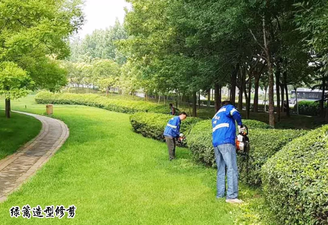 【豫&middot; 兴东】兴东园林 | 全面加强夏季绿化养护精细化管理